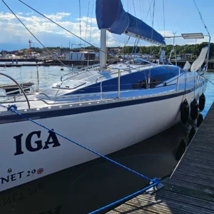 Hornet 29